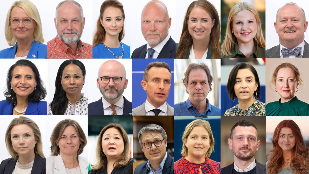 Över raden från vänster: Heléne Fritzon (S), Jonas Sjöstedt (V), Alice Teodorescu Måwe (KD), Jörgen Warborn (M), Emma Wiesner (C), Arba Kokalari (M), Dick Erixon (SD). Andra raden: Abir Al-Sahlani (C), Alice Bah Kuhnke (MP), Charlie Weimers (SD), Tomas Tobé (M), Pär Holmgren (MP), Evin Incir (S), Hanna Gedin (V). Tredje raden: Beatrice Timgren (SD), Isabella Lövin (MP), Jessica Polfjärd (M), Johan Danielsson (S), Karin Karlsbro (L), Adnan Dibrani (S), Sofie Eriksson (S).