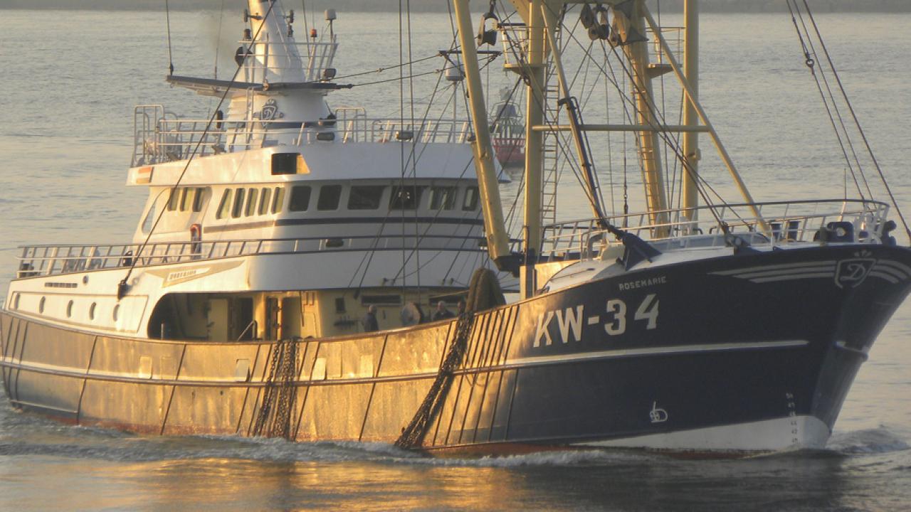 EU:s fiskepolitik måste bli miljömässigt och sociekonomiskt hållbar, skriver Jan Isakson, Greenpeace.  Arkivbild.