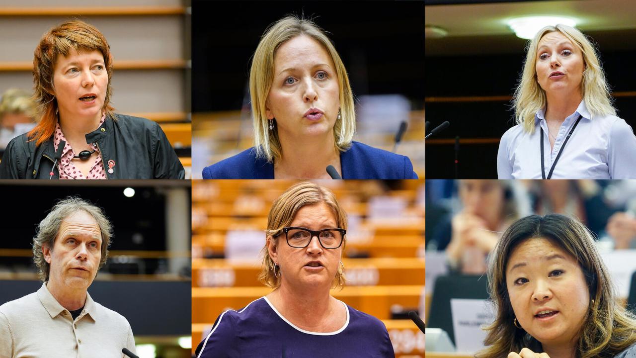 Övre raden: Malin Björk (V), Jytte Guteland (S) och Jessica Stegrud (SD). Nedre raden: Pär Holmgren (MP), Karin Karlsbro (L) och Jessica Polfjärd (M).