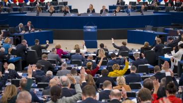 Kritiken mot ministerrådet och Europeiska rådet fick stort stöd i veckans omröstning i EU-parlamentet. 