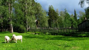 Foto: Britt-Marie Sohlström