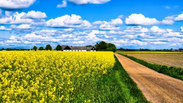 Landsbygd i Skåne. Arkivbild. Fotograf: Maria Eklind