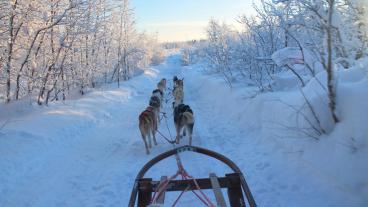 Bilden är tagen i Kiruna som ligger i Norrbotten, regionen tar emot näst mest EU-stöd per invånare i Sverige. 