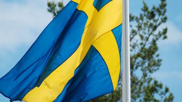 En demokrati blir vad vi gör den till. När det gäller hur balansen ser ut mellan hur mycket EU påverkar oss – till hur mycket vi i allmänheten engagerar oss och känner till om EU – så står vi nu inför en demokratisk kollaps. Det skriver författarna Olle Nygårds och Minal Nygårds.