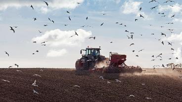 Svenska S-parlamentariker menar att EU:s kommande jordbrukspolitik gjort framsteg men ger den ändå tummen ned. Arkivbild.