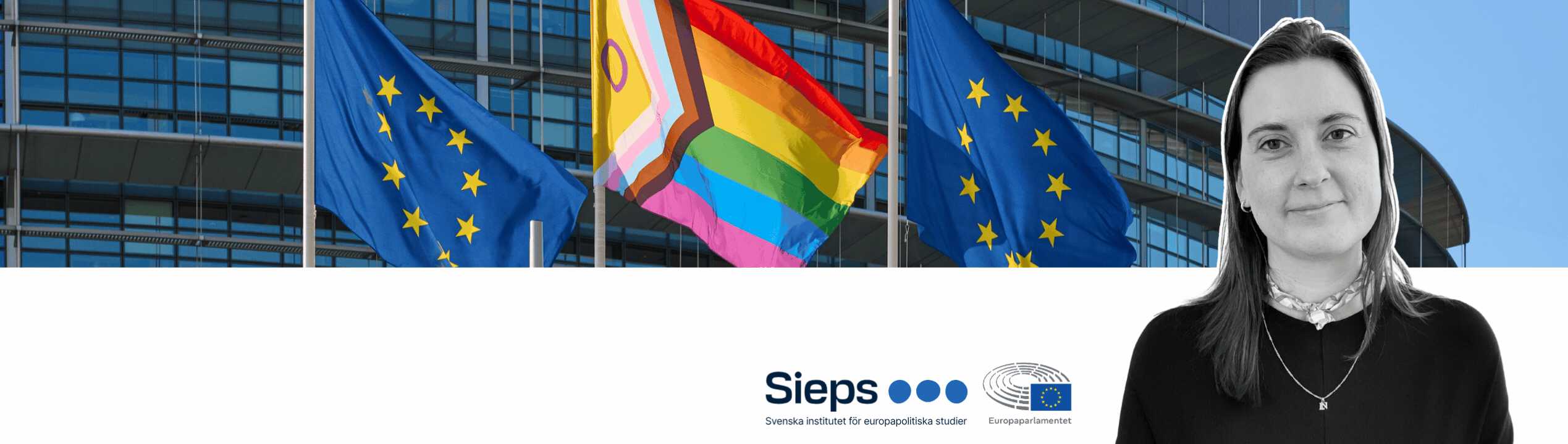 Europaparlamentet annons