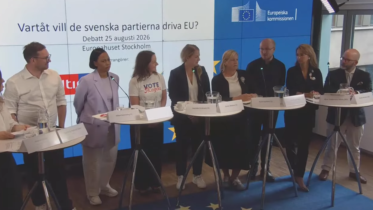 Från vänster: Håkan Svenneling (V), Alice Bah Kuhnke (MP), Matilda Ernkrans (S), Emma Wiesner (C), Karin Karlsbro (L), Erik Ottoson (M), Alice Teodorescu Måwe (KD) och Charlie Weimers (SD).
