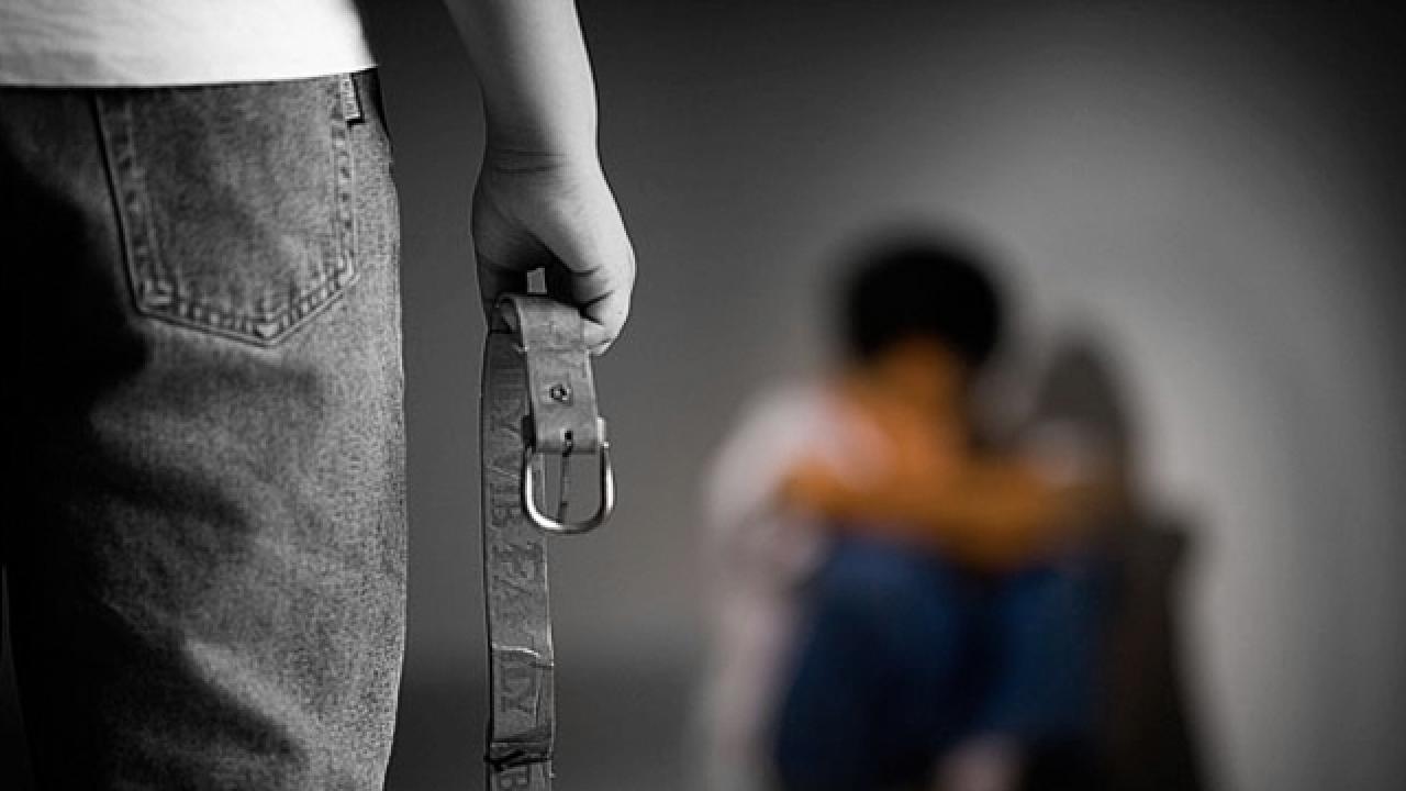 De svenska ledamöterna lyckades få EESK att ta ställning mot barnaga på decembermötet.