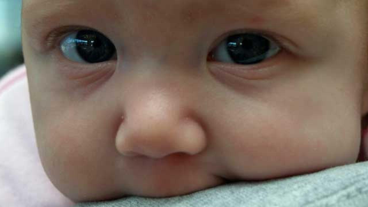 Ökat barnafödande är avgörande om inte 13 EU-länder med Tyskland i spetsen ska få se sin befolkning minska.