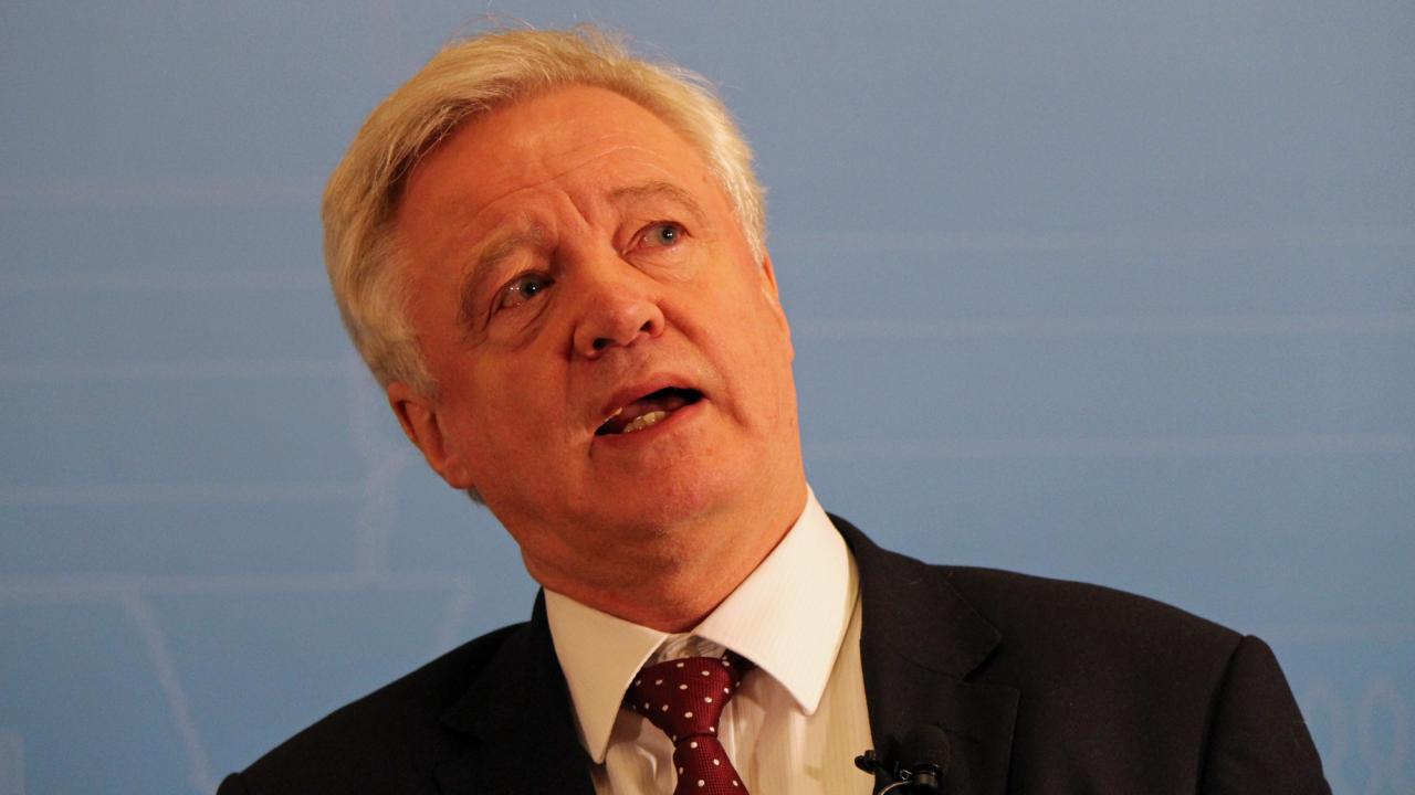Storbritanniens brexitförhandlare David Davis hoppas EU vill ha en tillfällig tullunion efter brexit. Arkivbild.