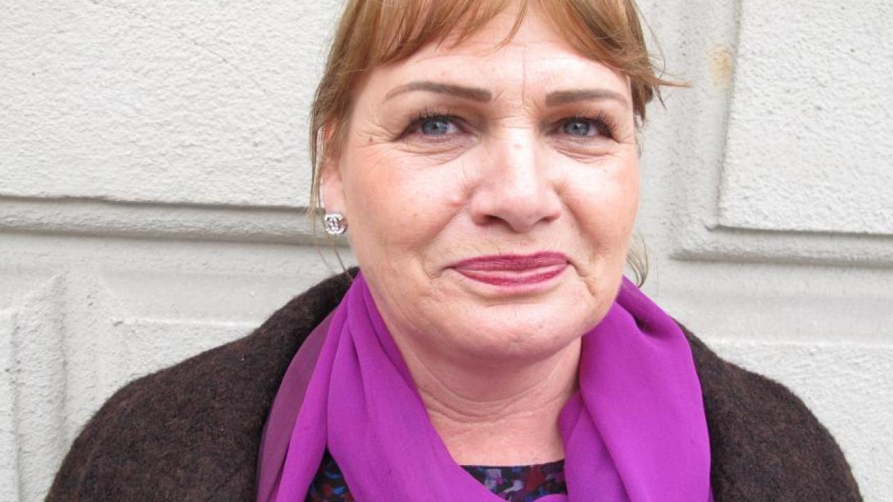 Soraya Post (FI) vill inrätta två nya EU-kommissionärer.